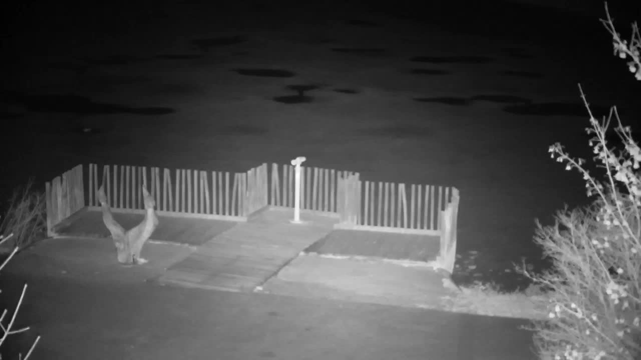 Webcam Ribnik Vrbje – Žalec