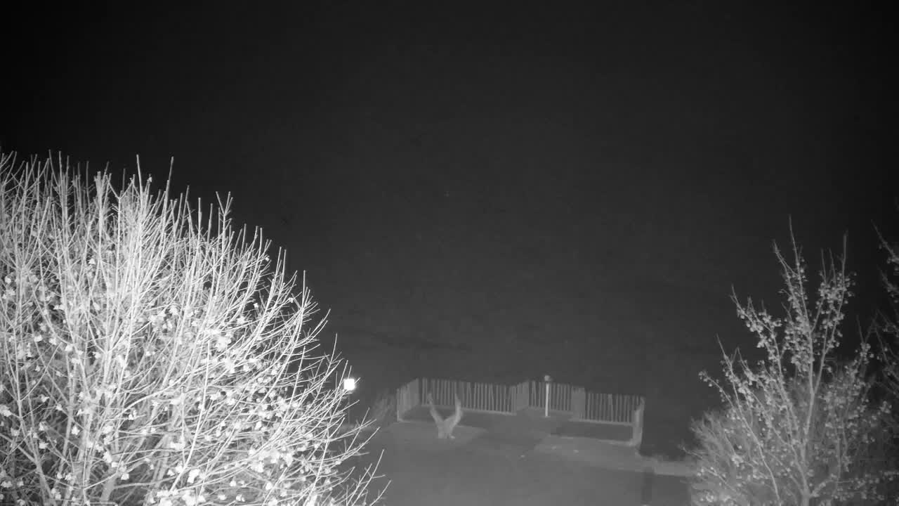 Webcam Ribnik Vrbje – Žalec