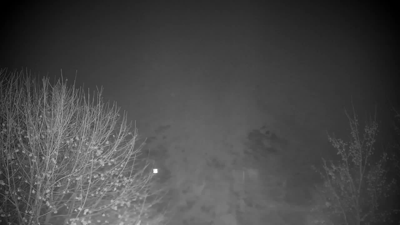 Webcam Ribnik Vrbje – Žalec