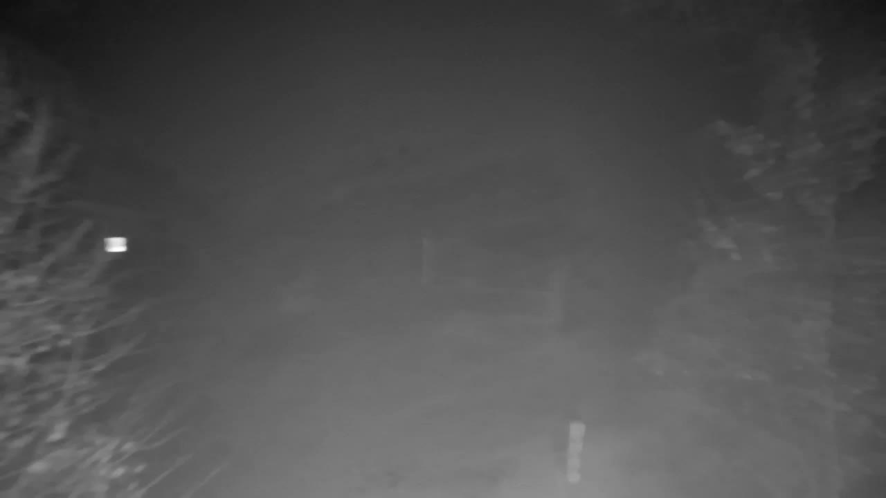 Spletna kamera Ribnik Vrbje – Žalec