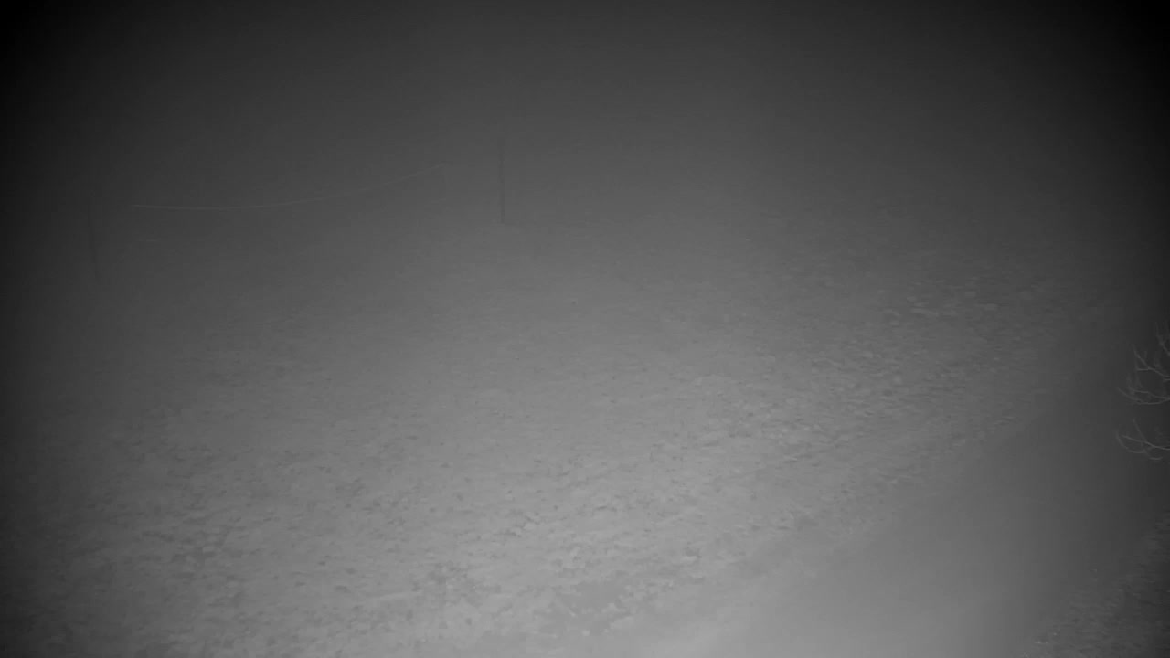 Webcam Ribnik Vrbje – Žalec