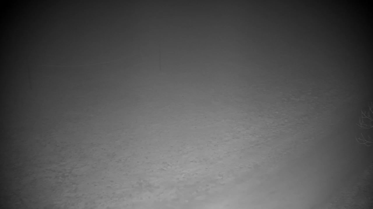 Web kamera Ribnik Vrbje – Žalec