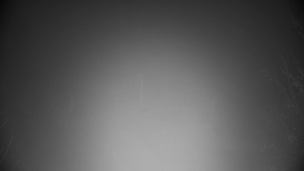 Webcam Ribnik Vrbje – Žalec