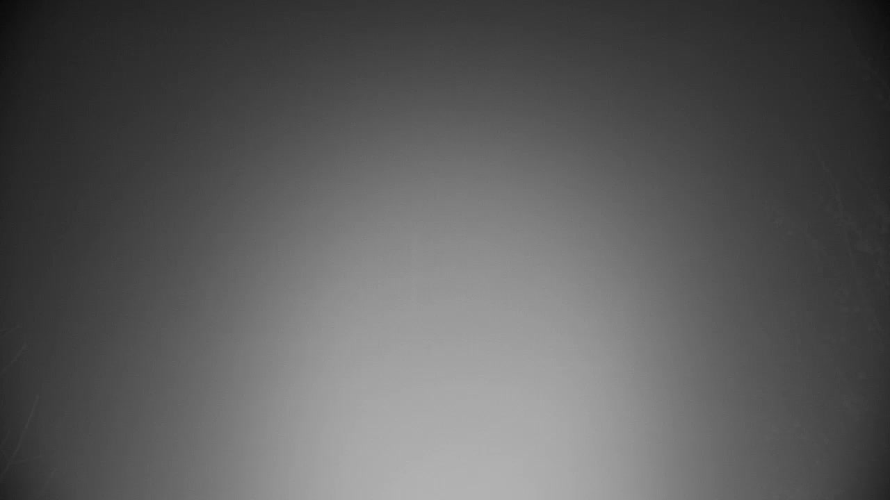 Webcam Ribnik Vrbje – Žalec