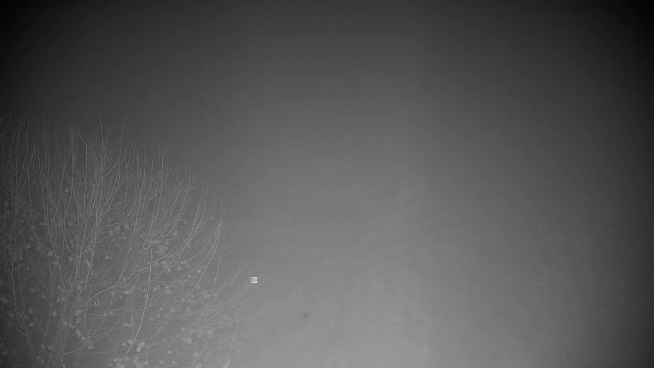 Webcam Ribnik Vrbje – Žalec