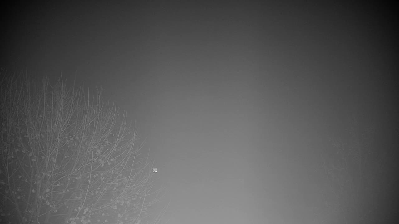 Webcam Ribnik Vrbje – Žalec