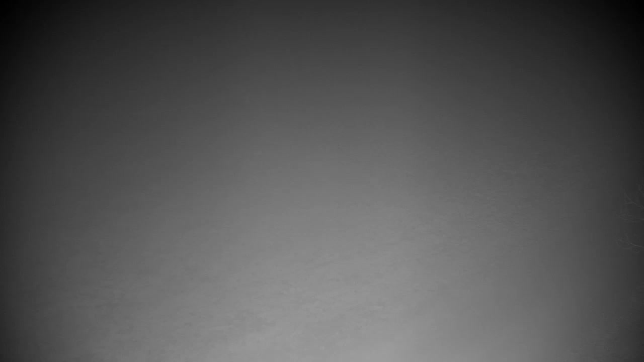 Webcam Ribnik Vrbje – Žalec