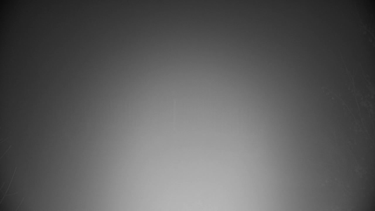 Webcam Ribnik Vrbje – Žalec