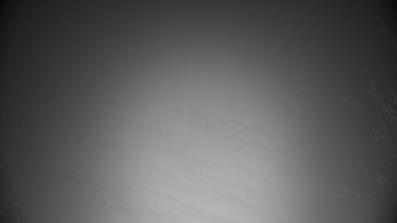 Spletna kamera Ribnik Vrbje – Žalec