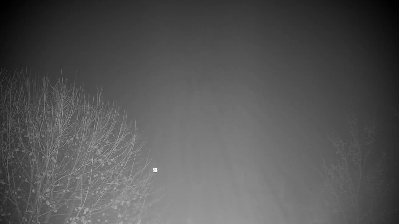 Webcam Ribnik Vrbje – Žalec