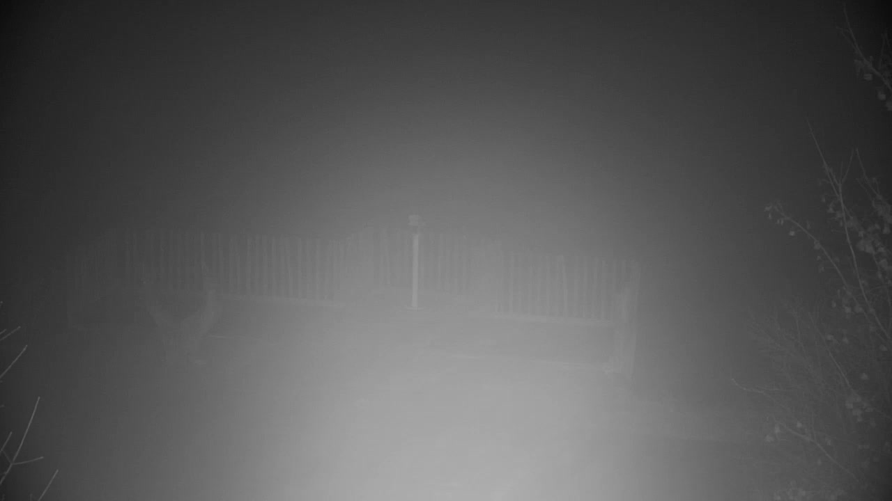 Webcam Ribnik Vrbje – Žalec