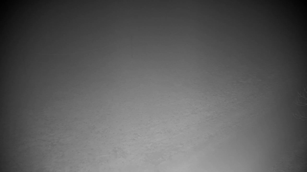 Webcam Ribnik Vrbje – Žalec