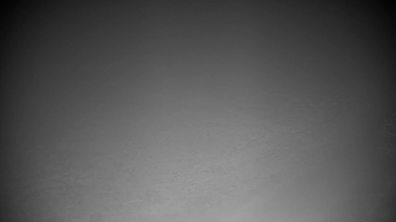 Web kamera Ribnik Vrbje – Žalec