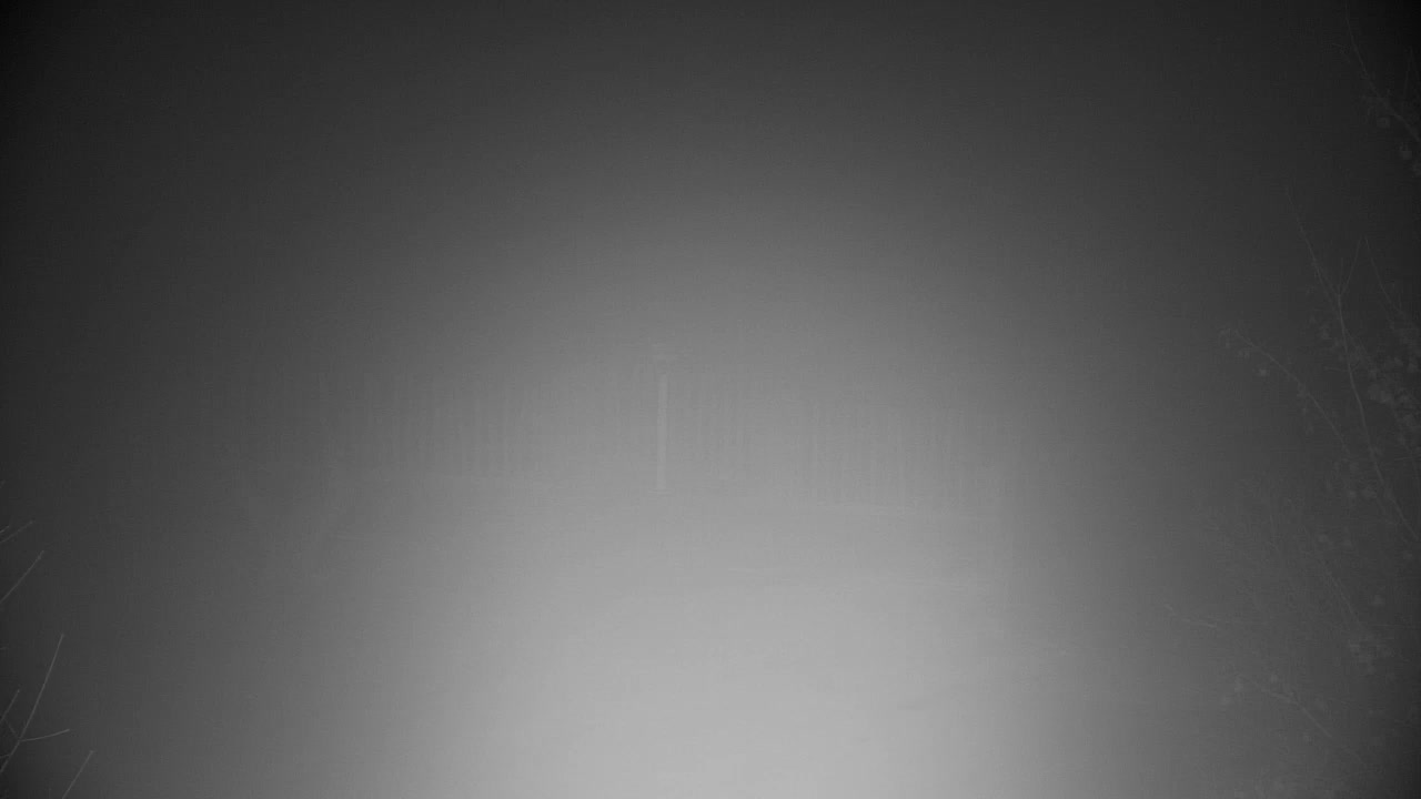 Webcam Ribnik Vrbje – Žalec