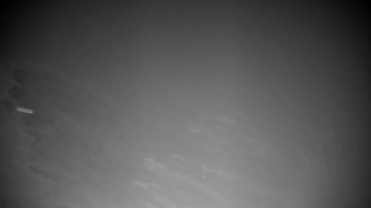 Web kamera Ribnik Vrbje – Žalec