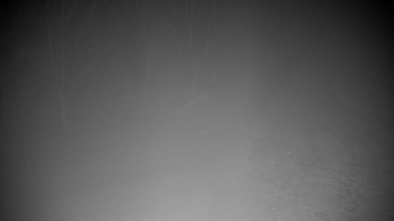 Web kamera Ribnik Vrbje – Žalec