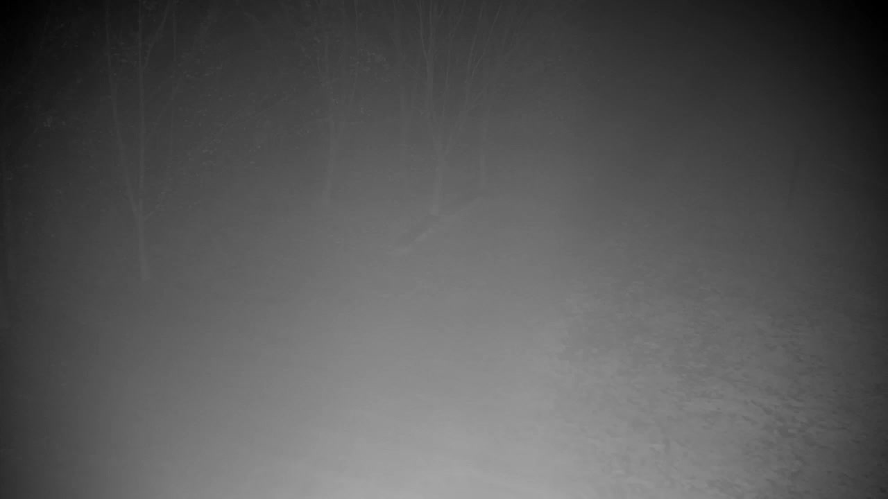 Webcam Ribnik Vrbje – Žalec