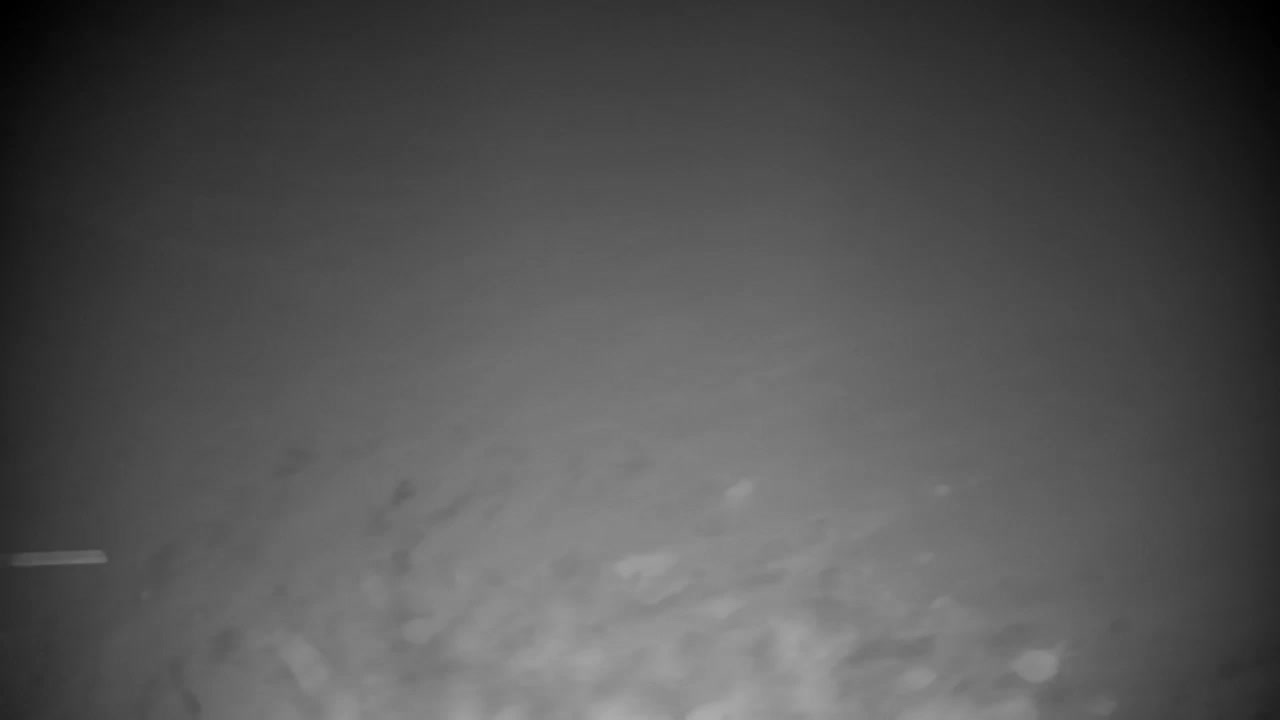 Webcam Ribnik Vrbje – Žalec