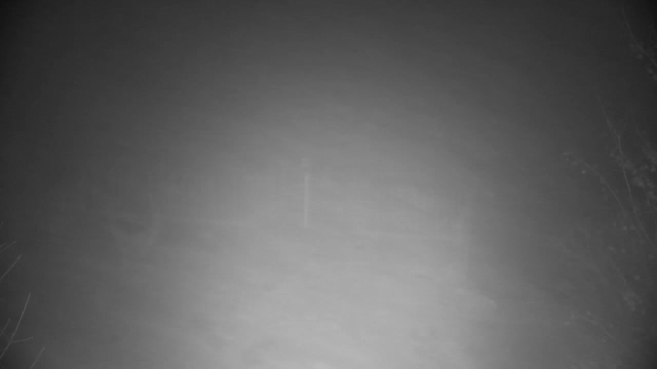 Webcam Ribnik Vrbje – Žalec