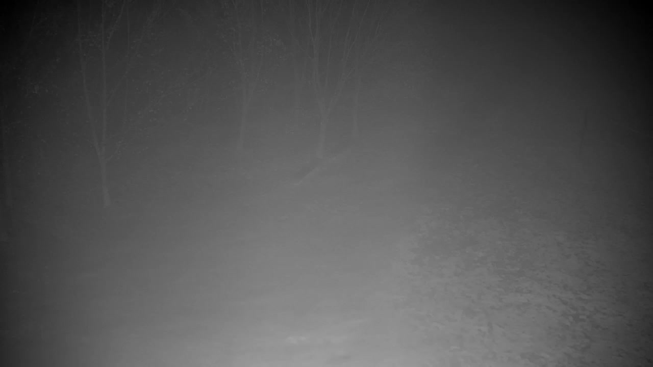 Webcam Ribnik Vrbje – Žalec