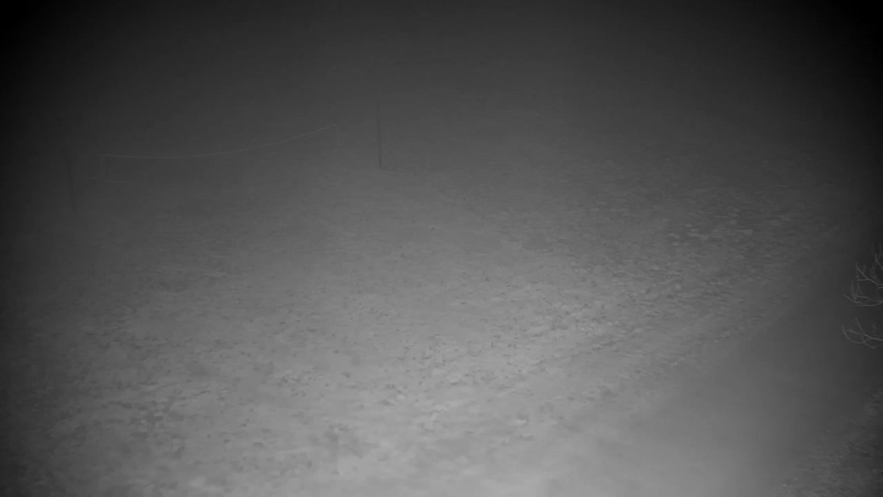 Webcam Ribnik Vrbje – Žalec