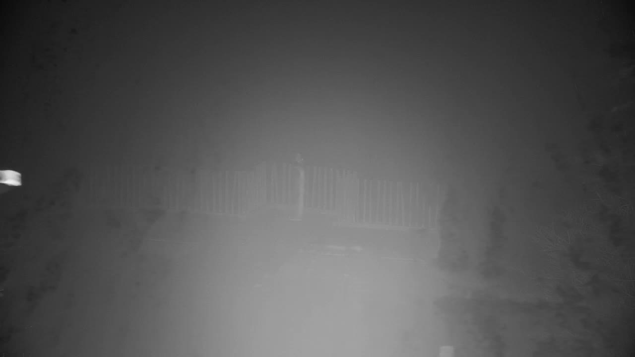 Webcam Ribnik Vrbje – Žalec