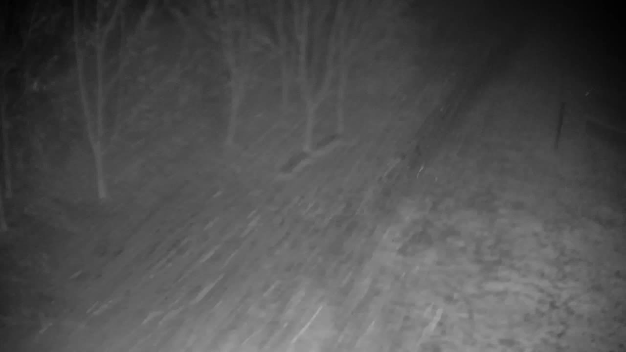 Webcam Ribnik Vrbje – Žalec