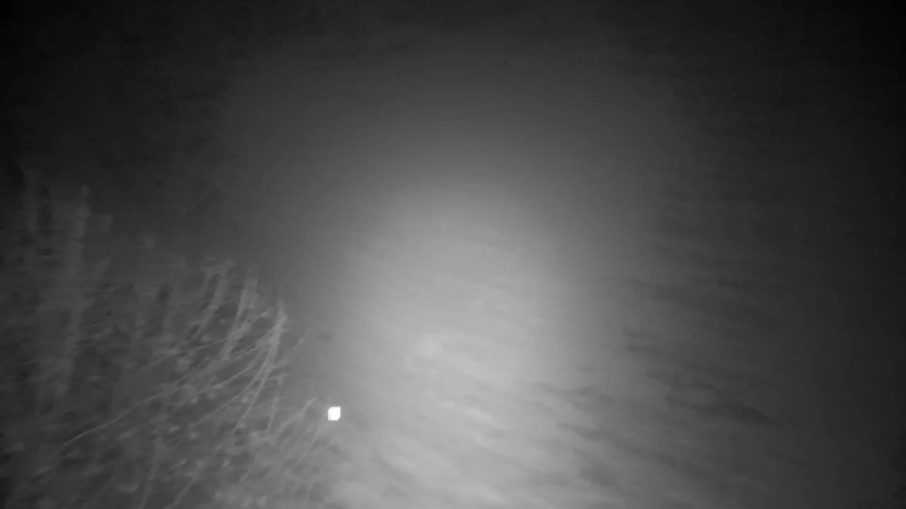 Webcam Ribnik Vrbje – Žalec