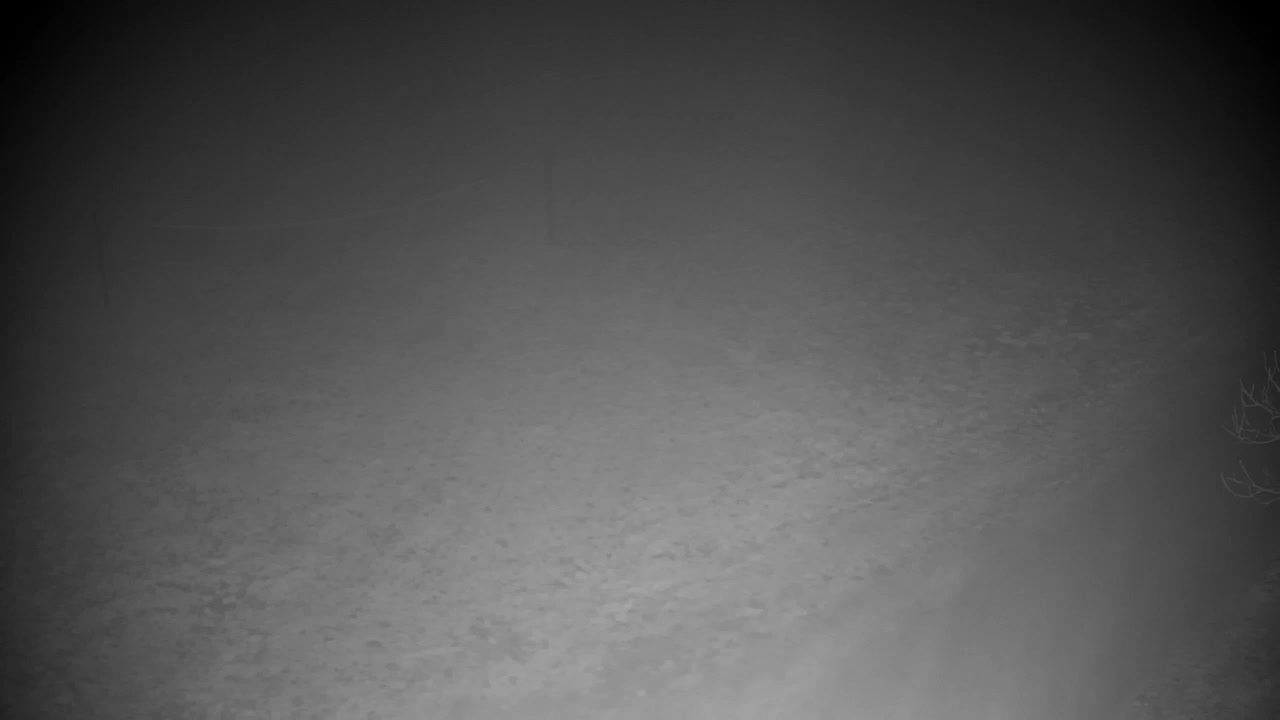 Webcam Ribnik Vrbje – Žalec