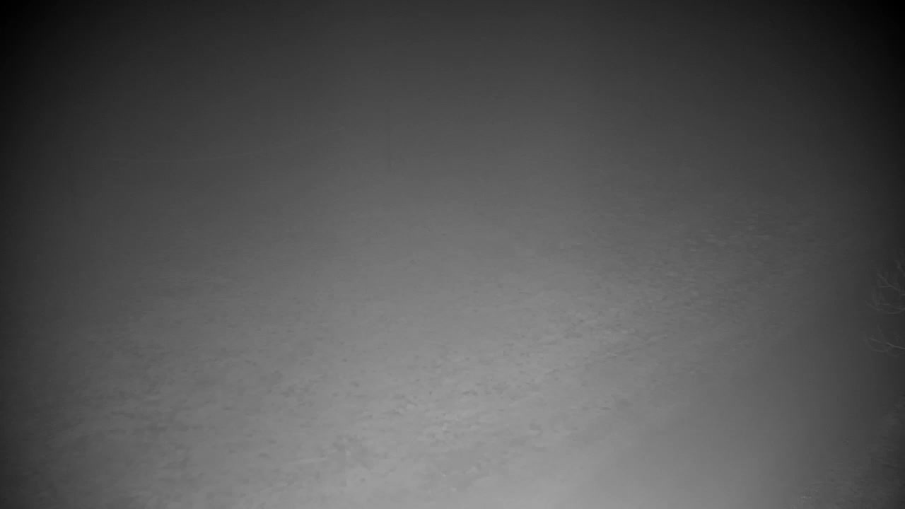 Spletna kamera Ribnik Vrbje – Žalec