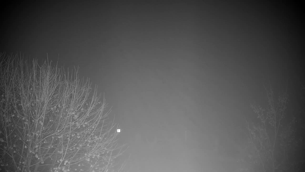 Webcam Ribnik Vrbje – Žalec