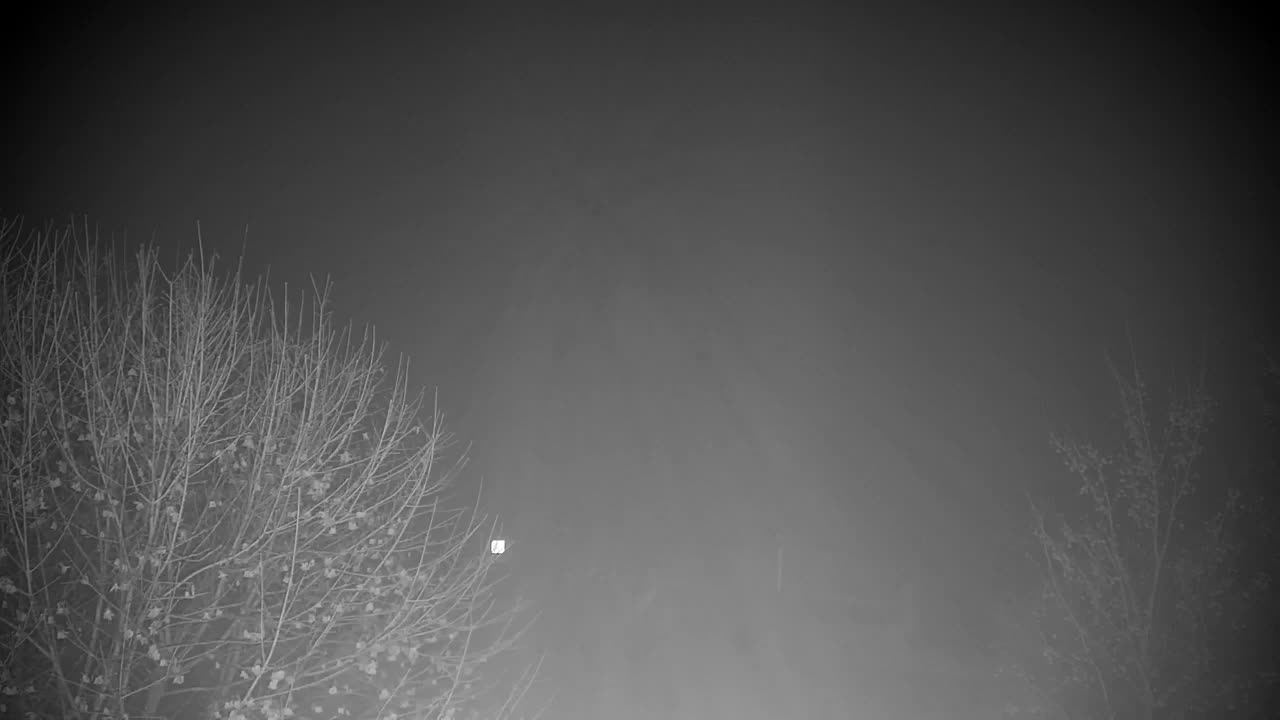 Webcam Ribnik Vrbje – Žalec