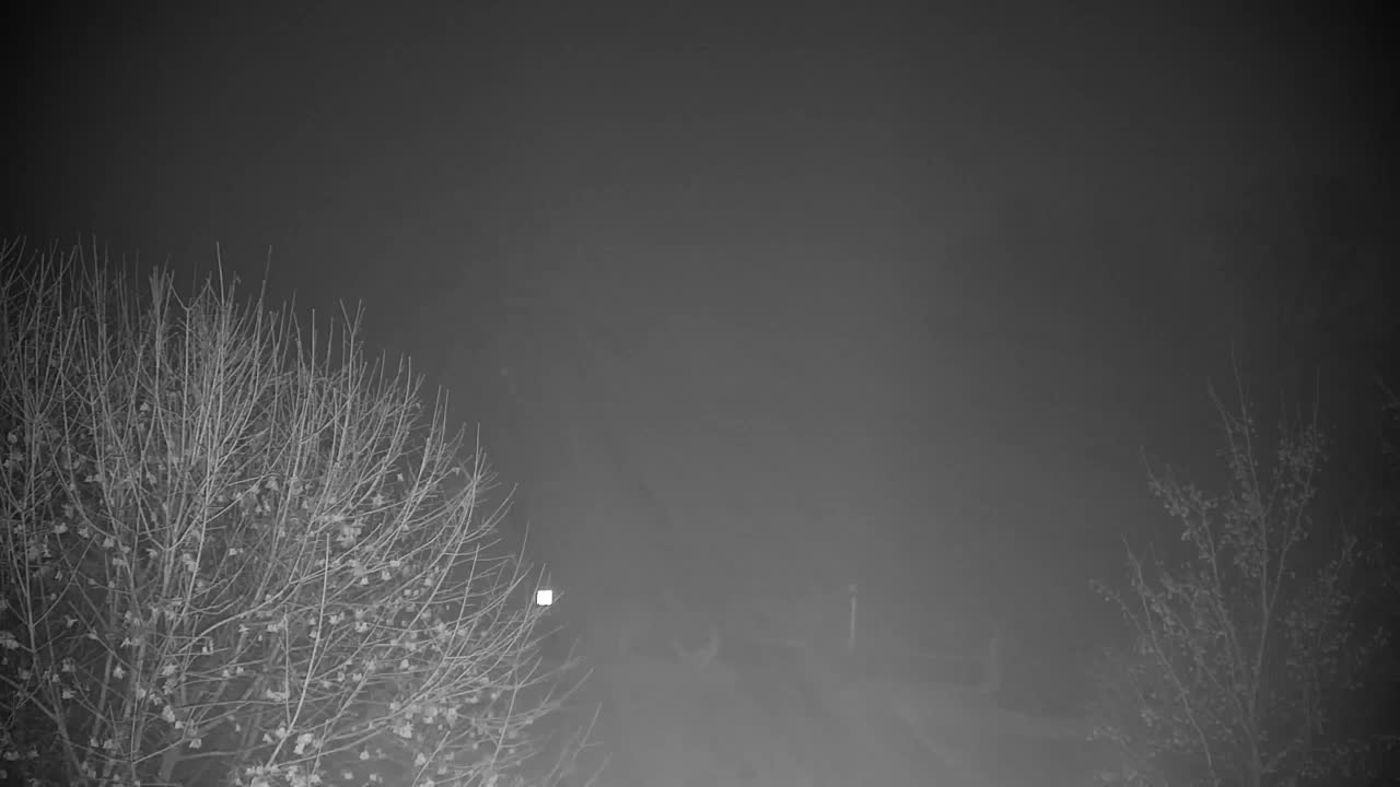 Webcam Ribnik Vrbje – Žalec