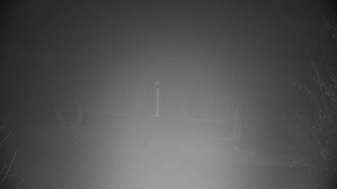 Web kamera Ribnik Vrbje – Žalec