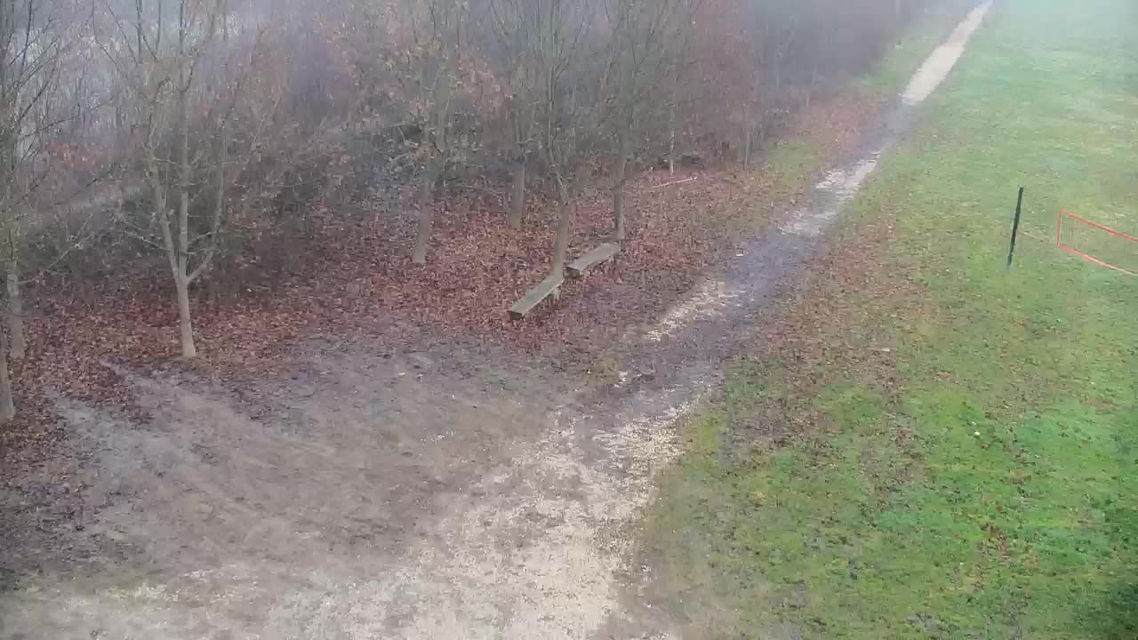 Webcam Ribnik Vrbje – Žalec