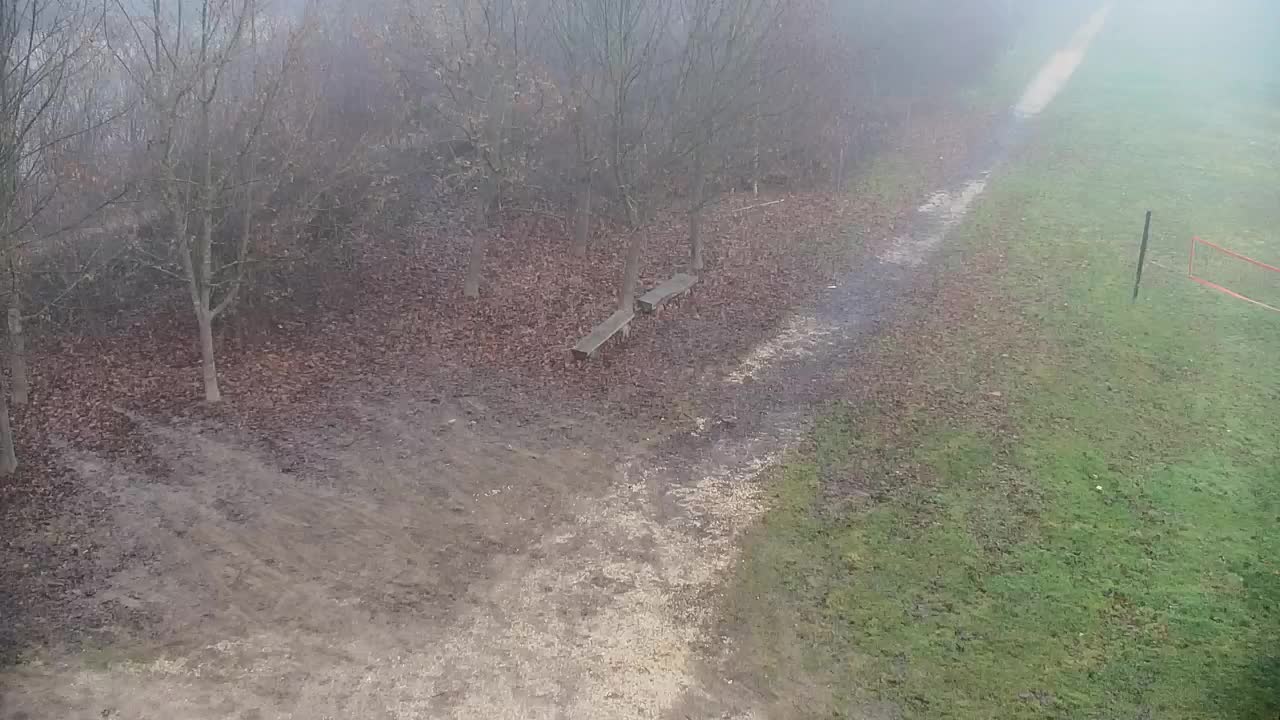 Webcam Ribnik Vrbje – Žalec