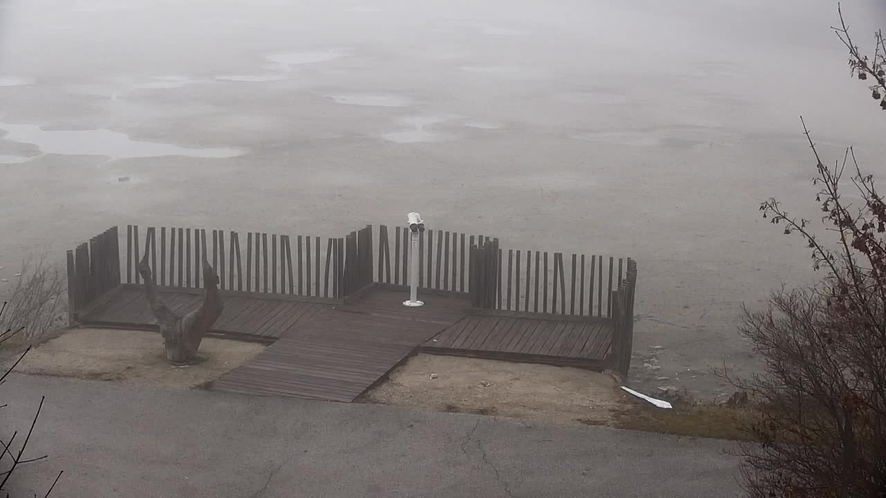 Webcam Ribnik Vrbje – Žalec