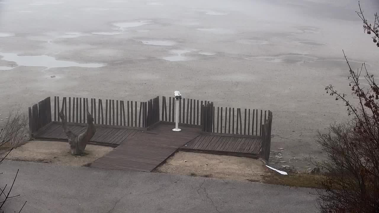 Webcam Ribnik Vrbje – Žalec