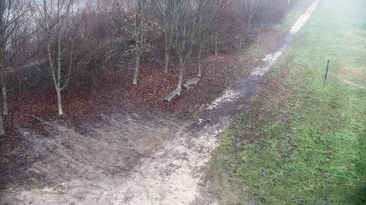 Spletna kamera Ribnik Vrbje – Žalec