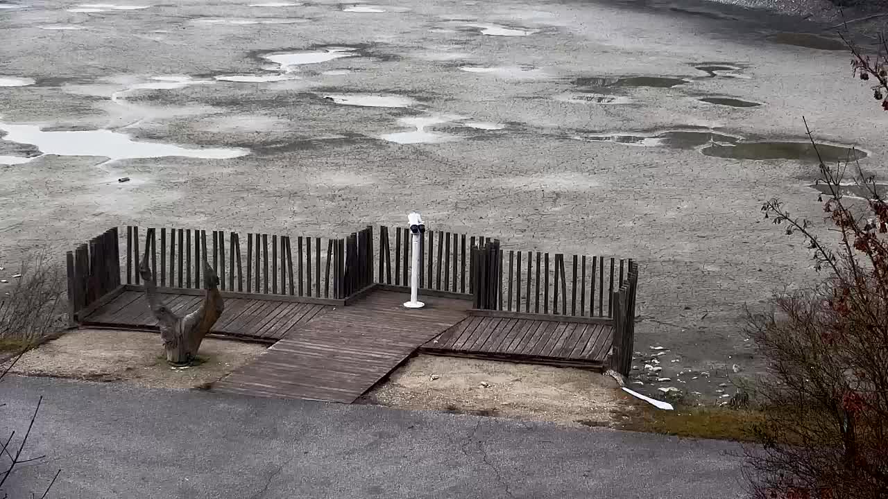 Webcam Ribnik Vrbje – Žalec