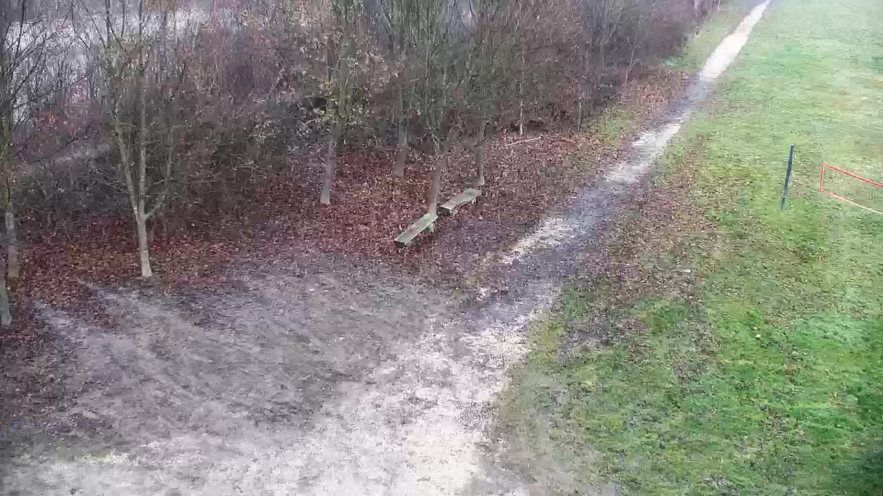 Webcam Ribnik Vrbje – Žalec