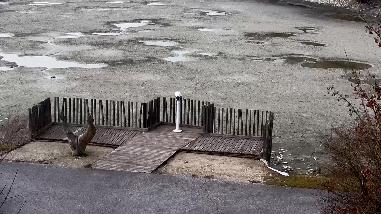 Webcam Ribnik Vrbje – Žalec