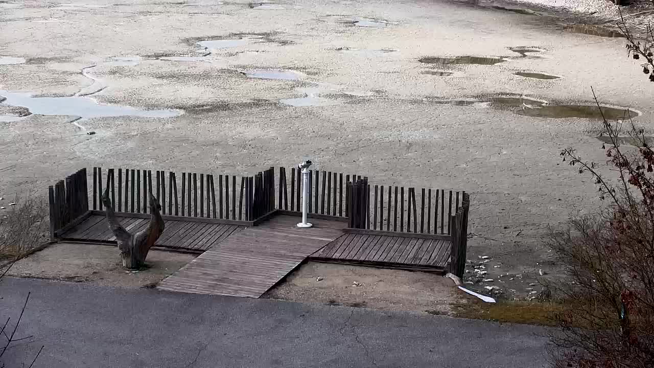 Webcam Ribnik Vrbje – Žalec