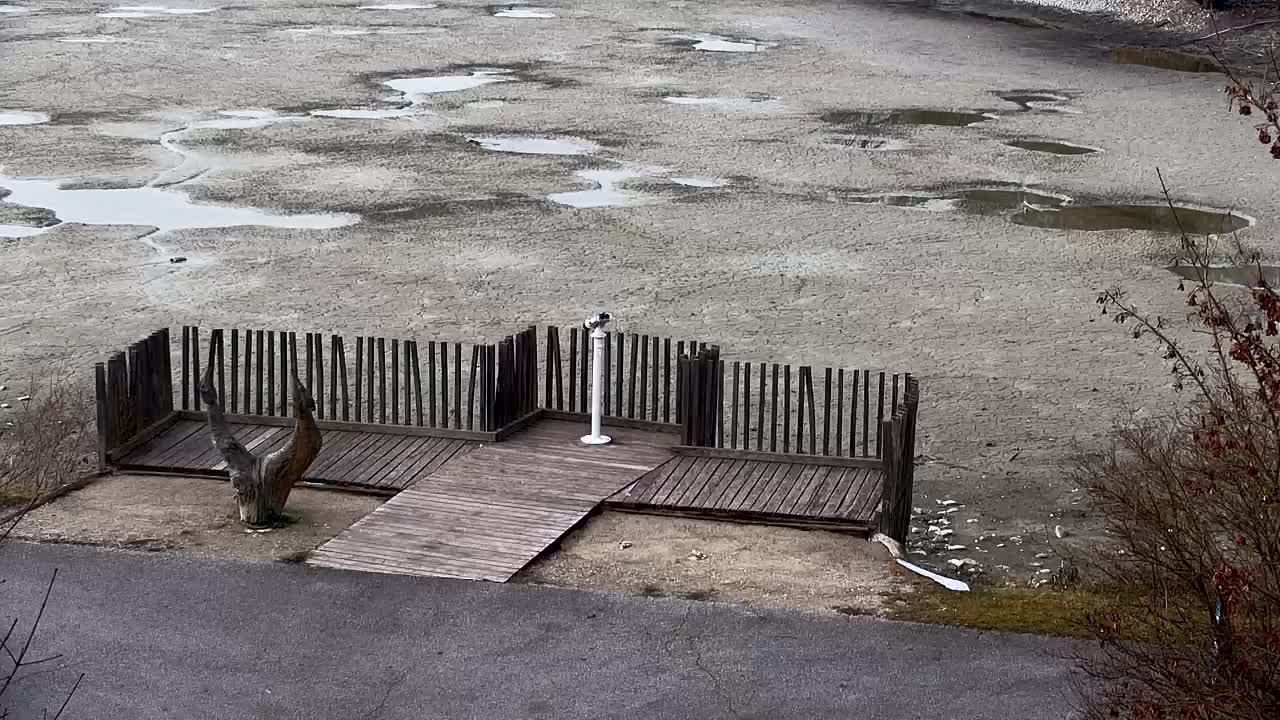 Webcam Ribnik Vrbje – Žalec