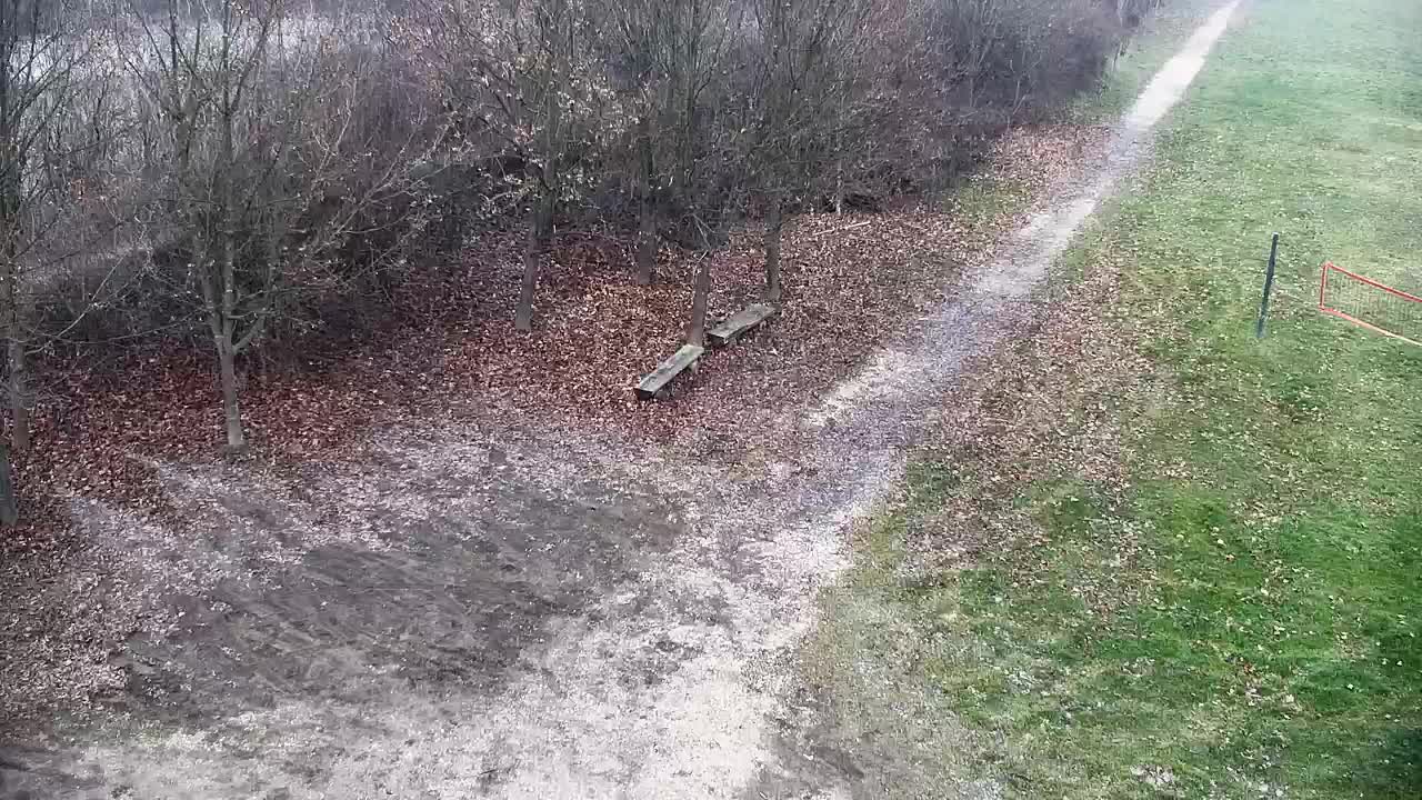 Spletna kamera Ribnik Vrbje – Žalec