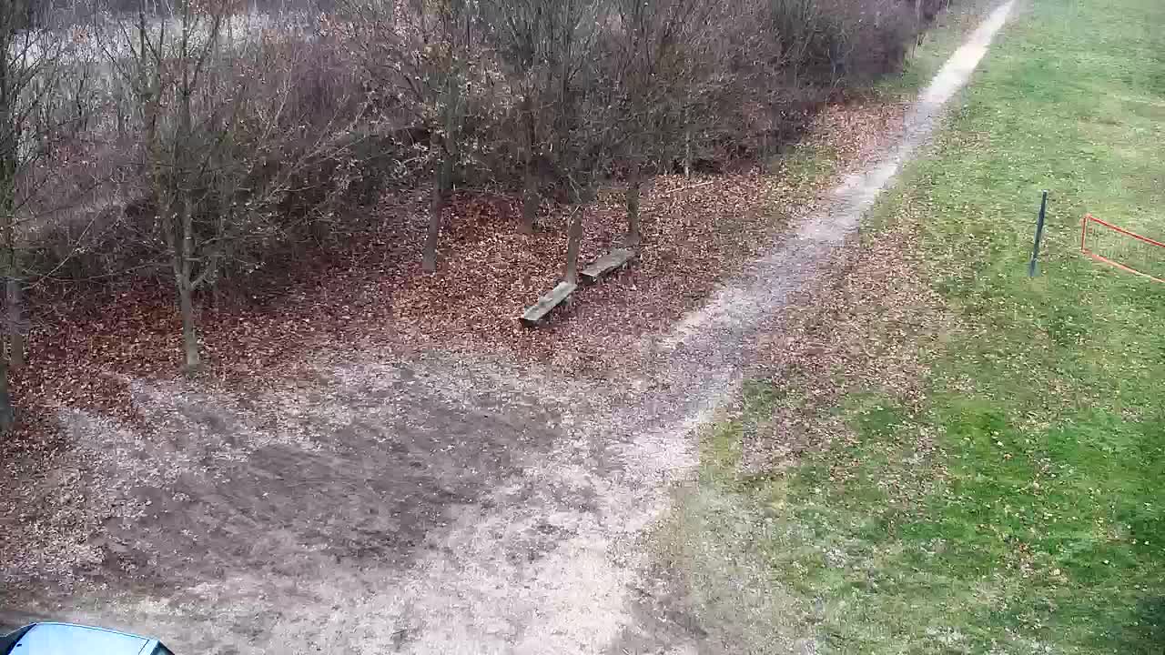 Webcam Ribnik Vrbje – Žalec