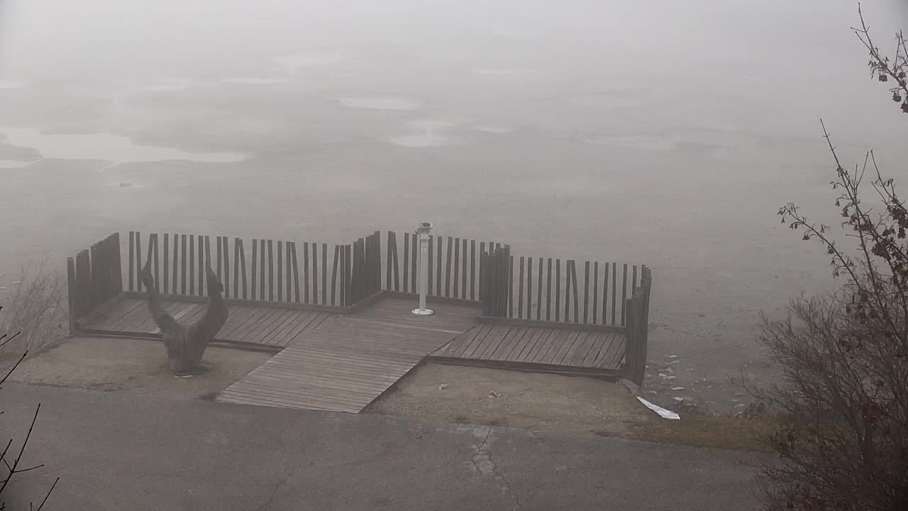 Webcam Ribnik Vrbje – Žalec