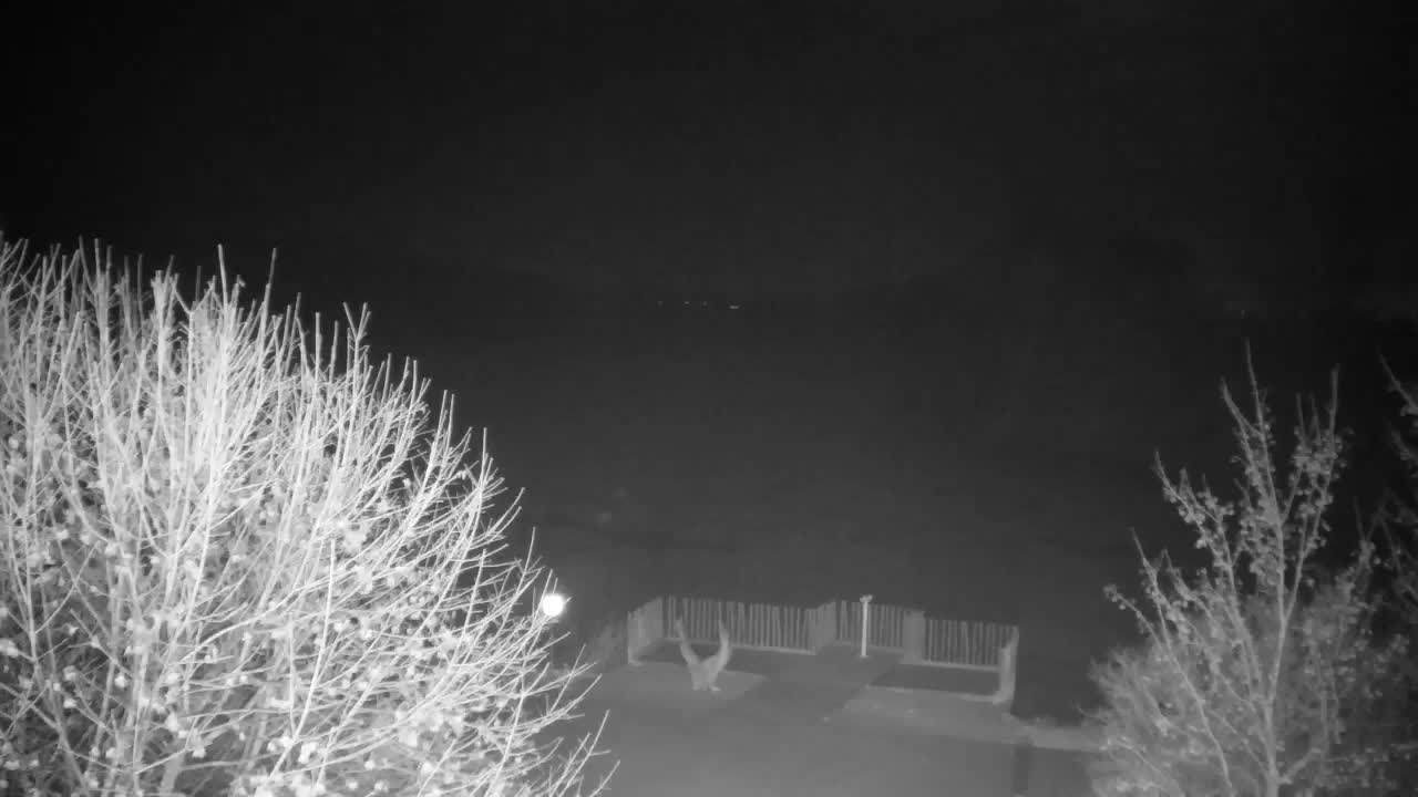 Webcam Ribnik Vrbje – Žalec