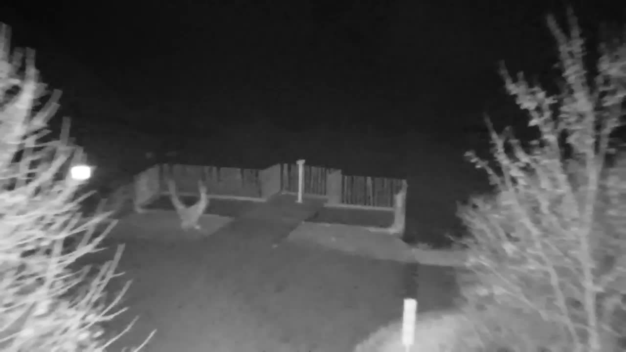 Webcam Ribnik Vrbje – Žalec