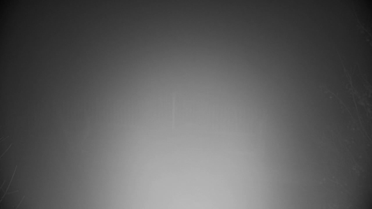 Webcam Ribnik Vrbje – Žalec